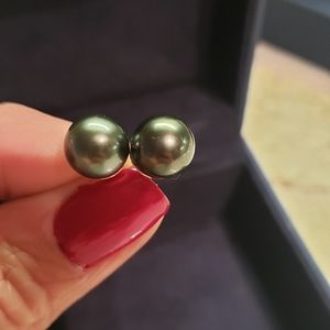 Gorgeous Tahitian Pearl Earrings